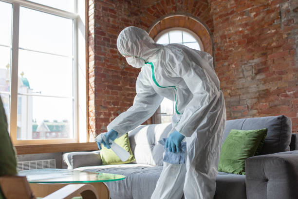 Best Commercial Mold Inspection  in Syosset, NY