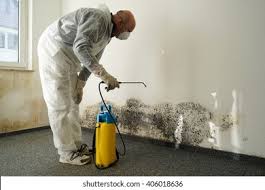 Best Residential Mold Inspection & Testing  in Syosset, NY